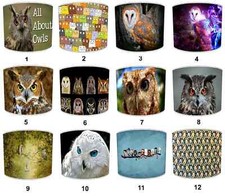 Birds prey owl for sale  BOLTON