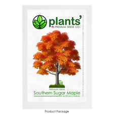 Southern sugar maple for sale  Claremont