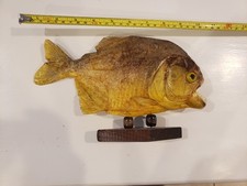 Piranha taxadermy good for sale  Cleveland