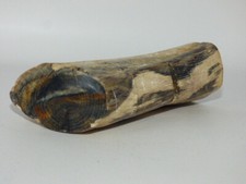 Versteinertes holz 240 gebraucht kaufen  Bad Ems