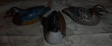 ducks goose for sale ducks goose for sale Middle Village