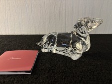 teckel d'occasion  Expédié en Belgium