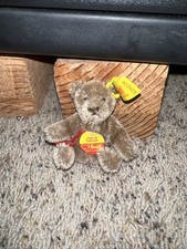 Steiff teddybar bear for sale  Meridian