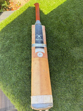 Salix fera junior for sale  HORSHAM