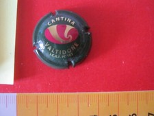 capsule spumante usato  Lozzolo