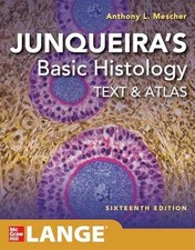 Junqueira's Basic Histology: - Paperback, by Mescher Anthony L. - Acceptable comprar usado  Enviando para Brazil