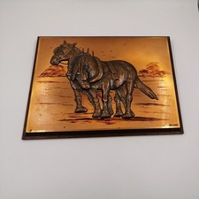 Shy horse3d copper for sale  DEESIDE