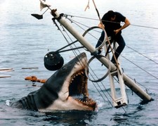 Jaws great white for sale  USA