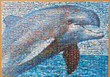 Dolphin photomosaics robert for sale  BRISTOL