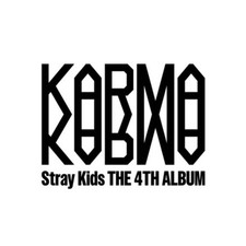 [Pré-venda] STRAY KIDS - O 4º Álbum [KARMA] SHOP Cartão Fotográfico POB, usado comprar usado  Enviando para Brazil