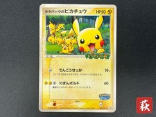 Pokepark pikachu 043 d'occasion  Expédié en Belgium