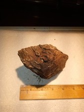 Mammoth tooth fossil for sale  Dothan