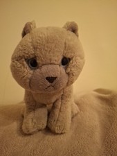Living nature cat for sale  SOUTHPORT