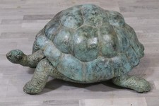 76cm schildkröte reptilie gebraucht kaufen 76cm schildkröte reptilie gebraucht kaufen  Stadtbergen