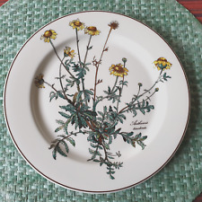 Botanica speiseteller hne gebraucht kaufen  Überherrn
