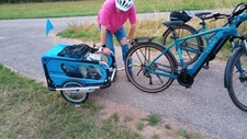 Doggytourer idefix hundeanhän gebraucht kaufen  Straubenhardt