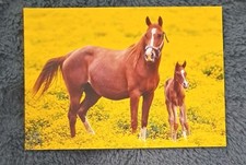 Pferde postkarte araber gebraucht kaufen  Hamburg