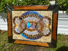 Vtg blue morpho for sale  Centerville