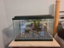 Fish tank gallon for sale  Gulfport