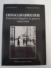 Libro cronaca giorni usato  Montesilvano