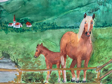 Bild aquarell haflinger gebraucht kaufen  Burgbernheim