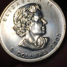 Canada dollari 2005 usato  San Bonifacio