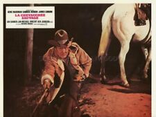 Ben johnson bite d'occasion Ben johnson bite d'occasion  Paris XIV