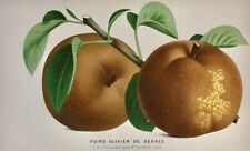 Pieter pannemaeker chromolitho gebraucht kaufen  München