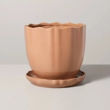 9.5 scalloped edge for sale  USA