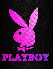 1996 COLEÇÃO PLAYBOY CENTERFOLD: CARTÕES DE JULHO - LOTE A GRANEL PARA COMPLETAR SEU CONJUNTO, usado comprar usado  Enviando para Brazil