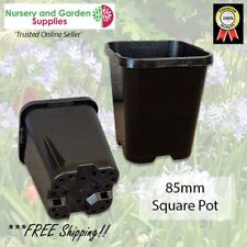 Vaso de plantas quadrado 85mm - Pacote com 100 - flores, arbustos, ervas comprar usado  Enviando para Brazil