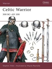 Celtic warrior 300 for sale  PAIGNTON