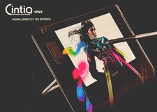 Wacom cintiq 12wx usato  Spedire a Italy