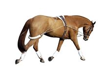 Système pessoa dressage d'occasion  Expédié en France