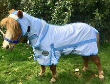 Mini shetland shetland for sale  HOLSWORTHY