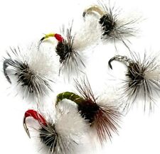 Fly fishing trout for sale  SANDBACH