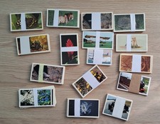 grandee cards for sale  PETERLEE