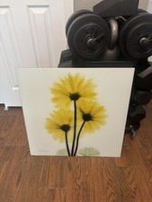 Paintings prints glass for sale  Albuquerque