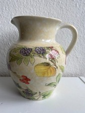 Primula . . gebraucht kaufen  Munster