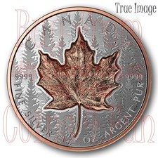 2025 Ultra-Alto Relevo Prata Folha de Bordo Canadá UHR SML US$ 20 1 oz. Moeda de prova comprar usado  Enviando para Brazil