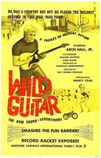 Wild guitar 1962 for sale  Milwaukee