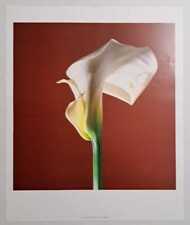 mapplethorpe usato  Verbania