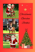 Santa christmas acrylic for sale  TIVERTON