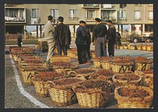 Cpsm capitale cerise d'occasion Cpsm capitale cerise d'occasion  Sabres