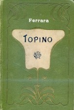 Topino. avventure ragazzo usato  Italia