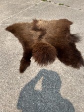 Buffalo rug wall for sale  Saginaw