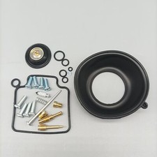 Carburetor rebuild kit for sale  USA