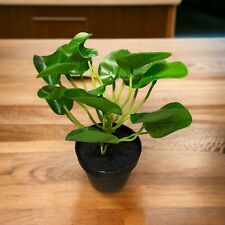 Luckygreenery künstliche pfla gebraucht kaufen  Berlin