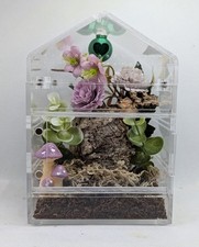 Acrilic jumping spider for sale  ST. AUSTELL