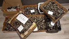 Röhren konvolut auflösung gebraucht kaufen  Rheinböllen